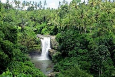 Bali Full Day Tour – Ubud and Tanah Lot Temple Tour - Tegenungan Waterfall: the one-hour window for real photos