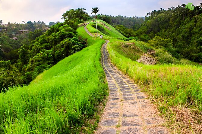 Bali Full Day-Tour: Ubud Sightseeing Trip - Ubud Monkey Forest: see macaques in a sanctuary setting