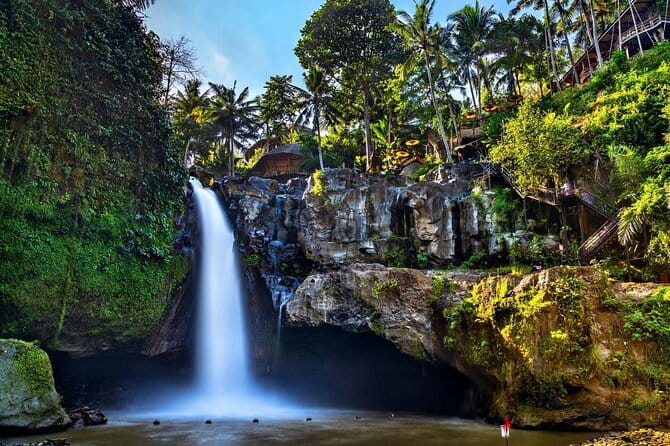 Bali Full-Day Tours : Waterfall and Ubud Destination Trip - Key highlights to notice before you book