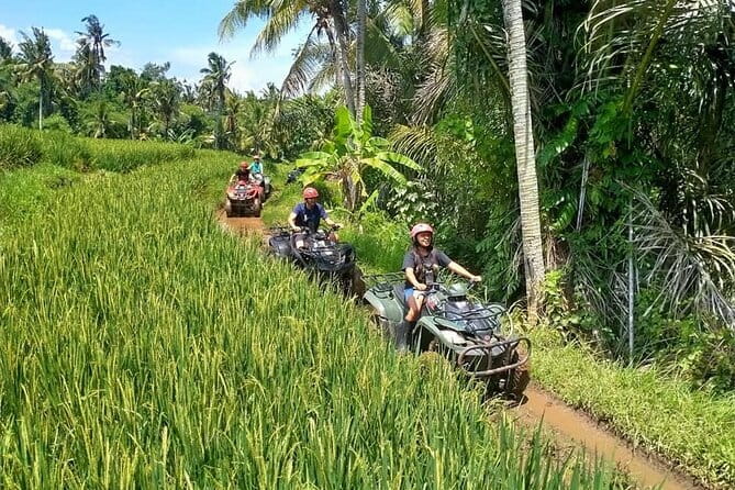 Bali Full-Day Tours : Waterfall and Ubud Destination Trip - Sacred Monkey Forest Sanctuary: a full stop for the macaques