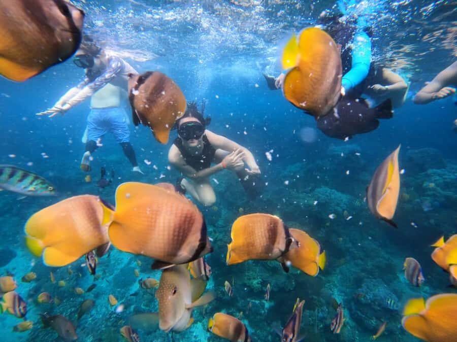 Bali Full Day Trip Fishing, Snorkeling,Eat in Candidasa - Key points before you go