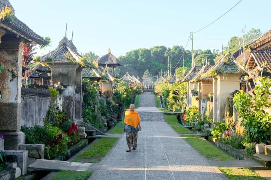 Bali: Full-Day Trip to Penglipuran Village and Bamboo Forest - A day that mixes village life, temple meaning, and real nature