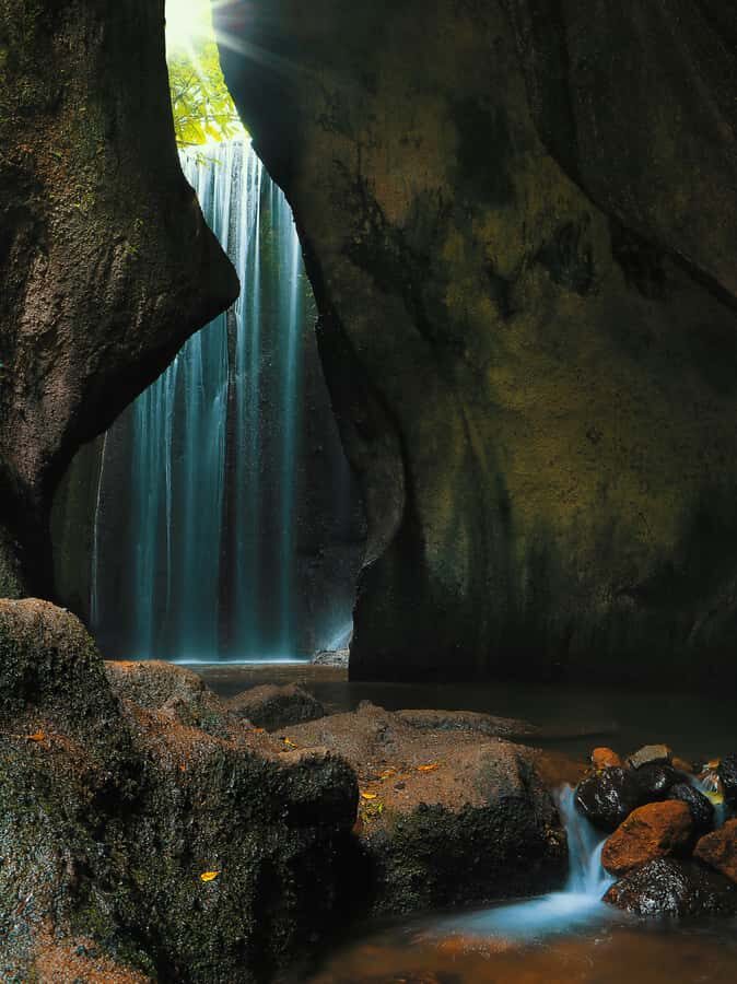 Bali: Gate of Heaven, Waterfall and Ubud All-Inclusive Tour - Price and value: what $59 covers and what you still need to budget