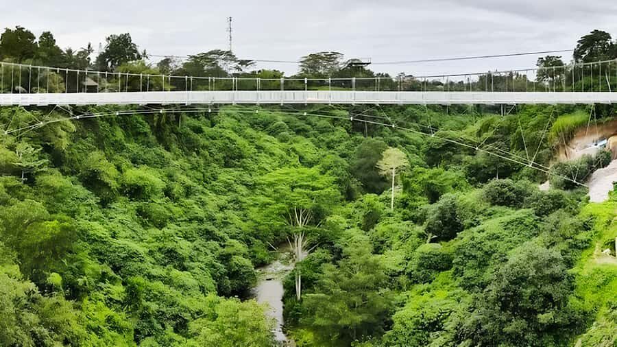 Bali: Glass Bridge Admission Ticket - Price and value: is $15 per person worth your time?