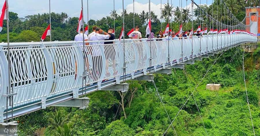 Bali: Glass Bridge Admission Ticket - First look at the numbers: 188 m long and 66 m above the valley