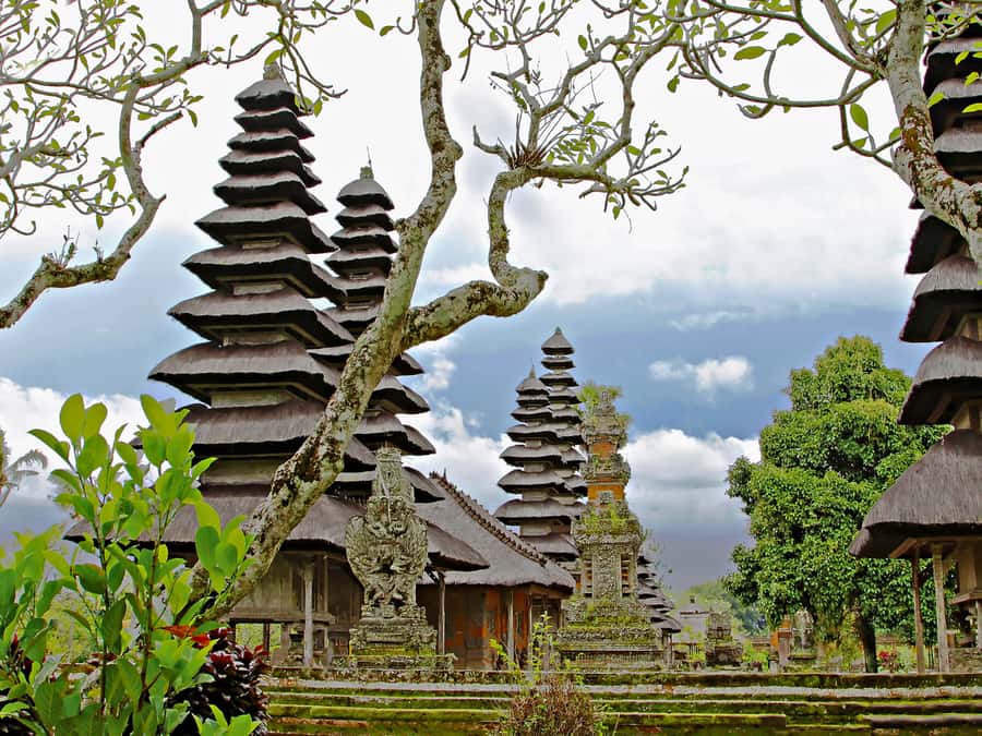 Bali: Green and Heritage West Trip Private Tour, Luxury Car - Key Highlights You’ll Care About
