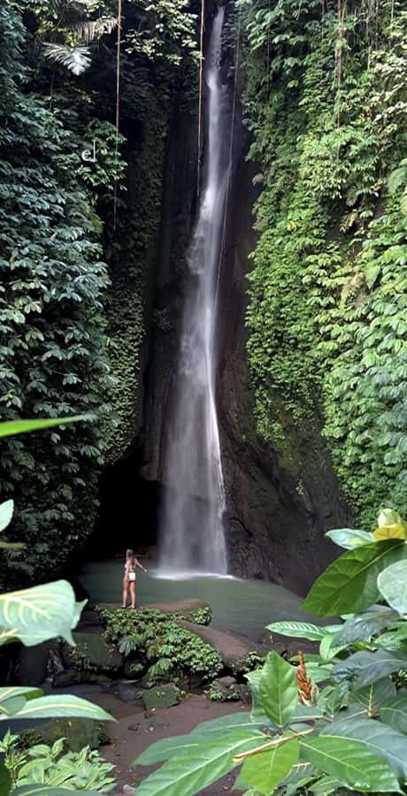 Bali: Green and Heritage West Trip Private Tour, Luxury Car - Stop 3: Jatiluwih Rice Terraces and the Subak System