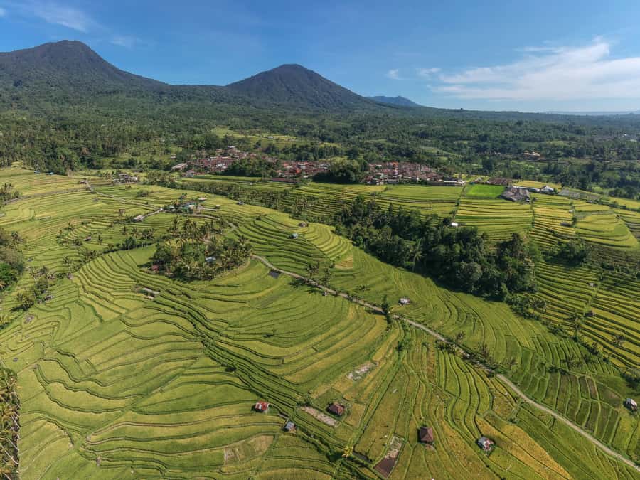 Bali: Green and Heritage West Trip Private Tour, Luxury Car - Price and Value: What You’re Really Paying For