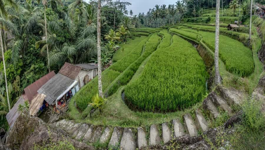 Bali: Gunung Kawi Temple & Pakerisan UNESCO Guided Tour - Pakerisan River Valley: UNESCO time in the “in-between” moments