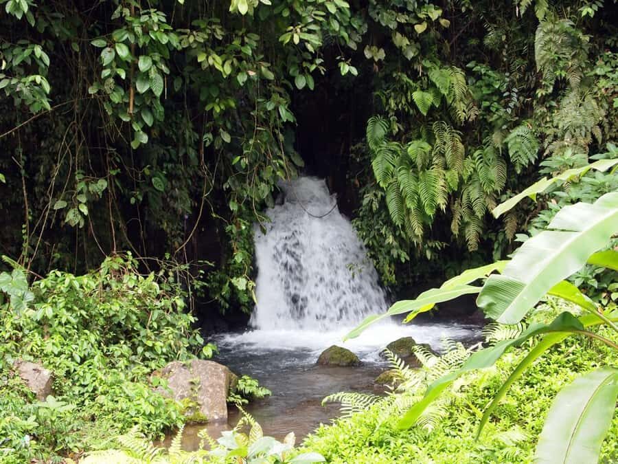 Bali: Gunung Kawi Temple & Pakerisan UNESCO Guided Tour - The guide’s role: turning stone and cloth into meaning