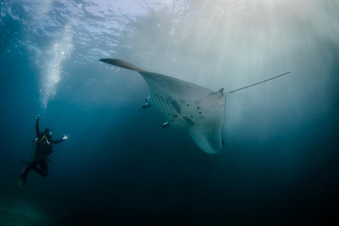 Bali Hai - Reef Cruise - Key Points That Make This Cruise Worth Your Time