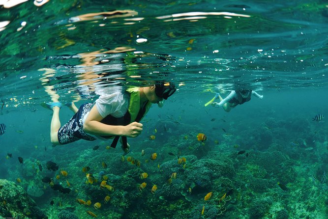 Bali Hai - Reef Cruise - Snorkeling Options and Optional Add-Ons: Choose Your Comfort Level