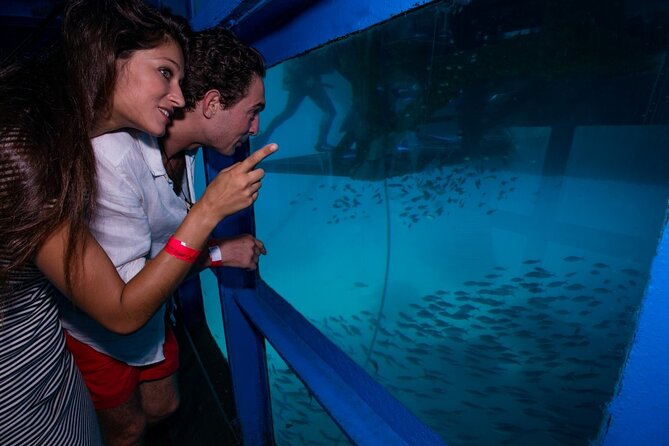 Bali Hai - Reef Cruise - Timing and Flow: Why This 7-Hour Plan Works
