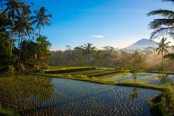 Bali Half Day Photography Tour - 5:30 a.m. Lighting and a Max-4 Photo Walk from Ubud