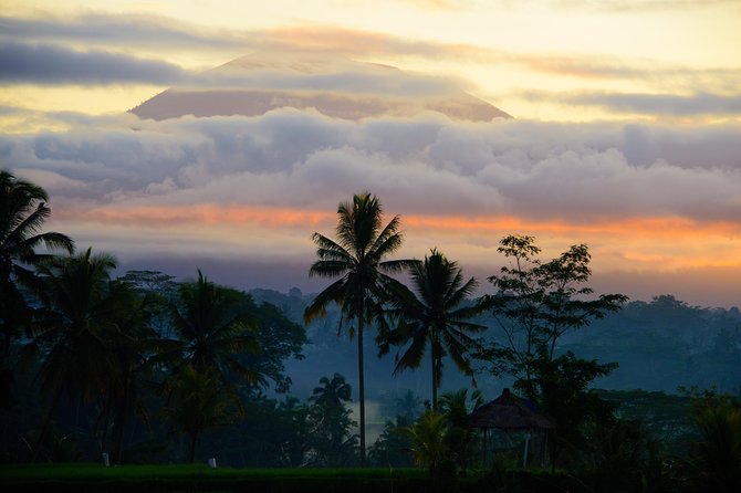Bali Half Day Photography Tour - What You Learn Beyond the Photos: Framing, Light, and Calm Direction
