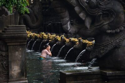 Bali Half Day Photography Tour - The Route That Builds a Story: Rice Fields, Portrait Market, Then Tirta Empul