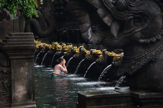 Bali Half Day Photography Tour - The Route That Builds a Story: Rice Fields, Portrait Market, Then Tirta Empul
