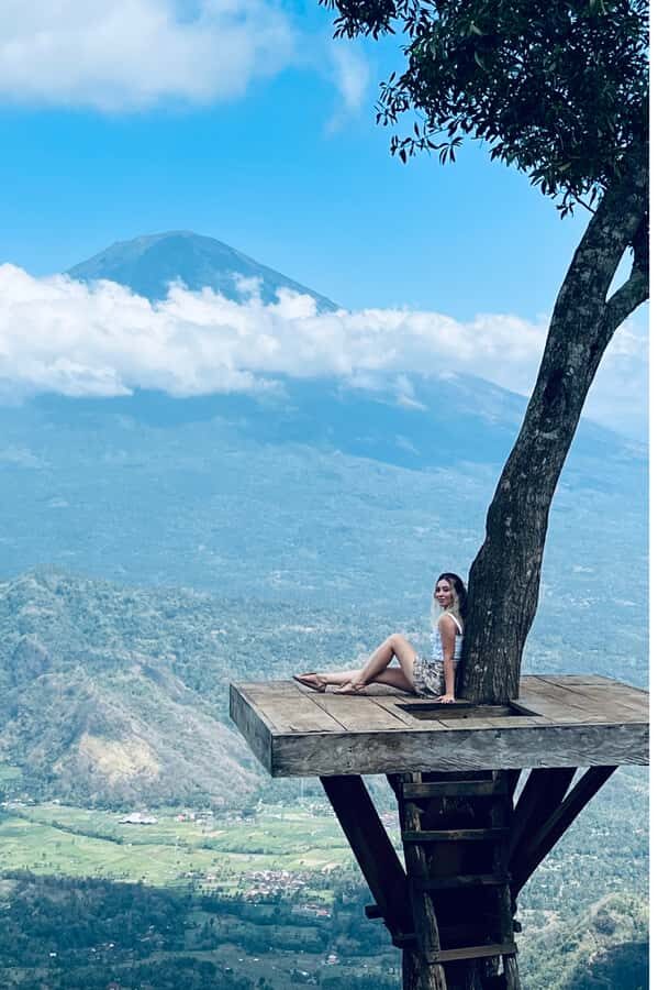 Bali: Half-Day Private Tour with a trusted Female Driver - Ubud and beyond: monkeys, crafts, temples, and activity choices