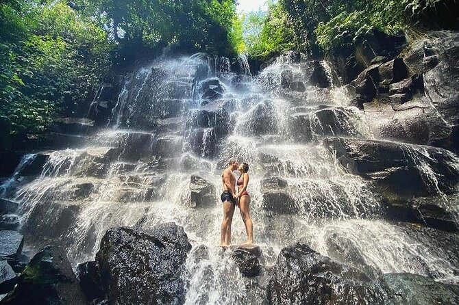 Bali Half Day Trip : All-Inclusive and Private Guided Tour - A Private Driver Plan for Ubud’s Best Hits in One Go