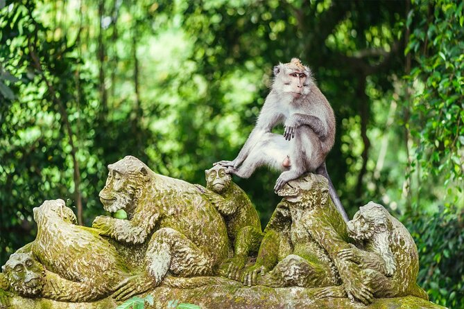 Bali Half Day Trip : All-Inclusive and Private Guided Tour - Tirta Empul Temple: Holy Water Purification You Can Witness