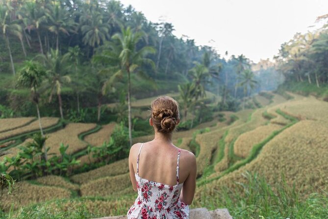 Bali Half Day Trip : All-Inclusive and Private Guided Tour - Who This Tour Fits Best