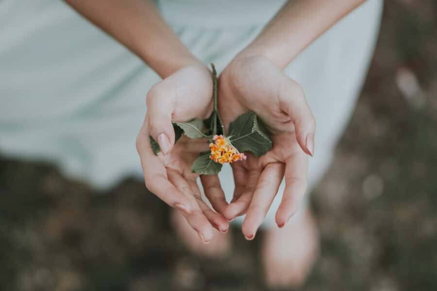 Bali: Healing and Aura Cleansing Tour with Yoga & Meditation - Key Things I’d Pay Attention To