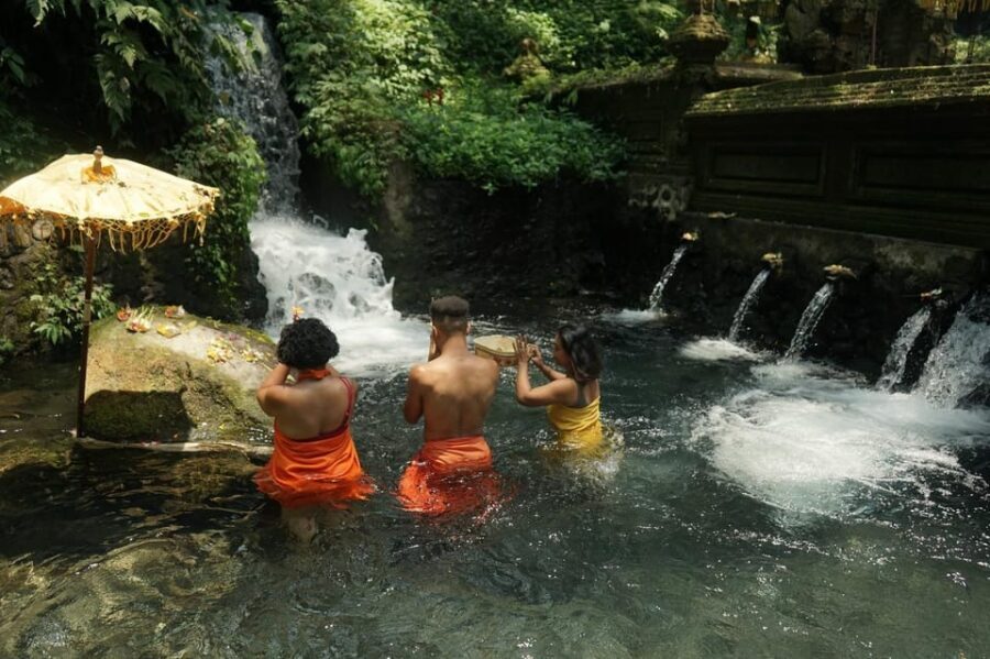 Bali: Healing Immersion Ubud Balinese Wellness + Lunch - Price and value check: is $55 reasonable in Ubud?