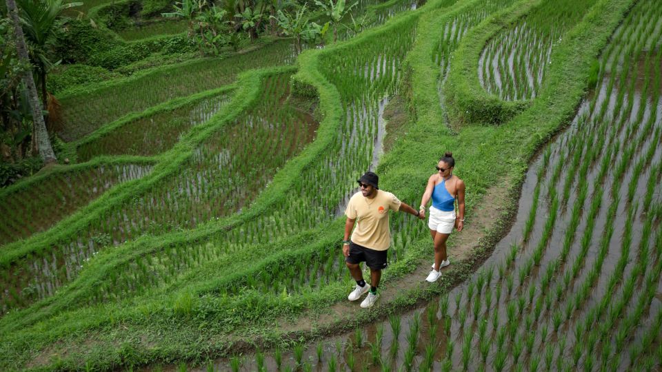 Bali: Heaven Swing, Beratan temple, Rice Terrace - A tight, small-group day across Bali’s north and rice country
