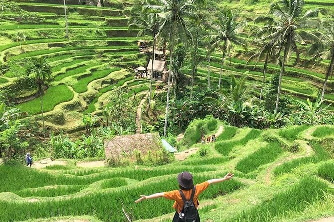 Bali Highlight Private Packages Tours 3 Days - Why This 3-Day Private Bali Route Works