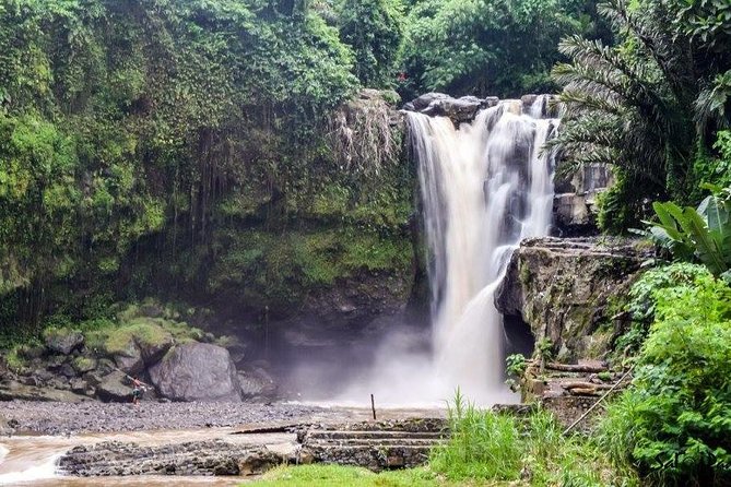 Bali Highlight Tours - Jatiluwih Rice Terraces: Big Views With a Comfortable 2-Hour Window