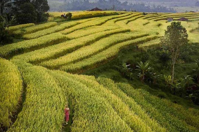 Bali Highlight Tours - The Price: What $45 Buys (and What You’ll Still Pay)