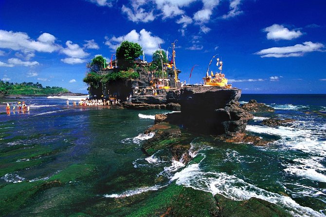 Bali Highlight Tours - The Driver Factor: Why Names Like Wayan Suyasa Matter