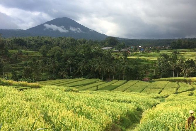 Bali Highlight Tours - Smart Planning Tips for a 10-Hour Full Day