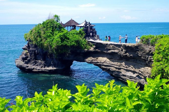 Bali Highlight Tours - Sangeh Monkey Forest: Rainforest Temple Vibes (and Monkey Etiquette)
