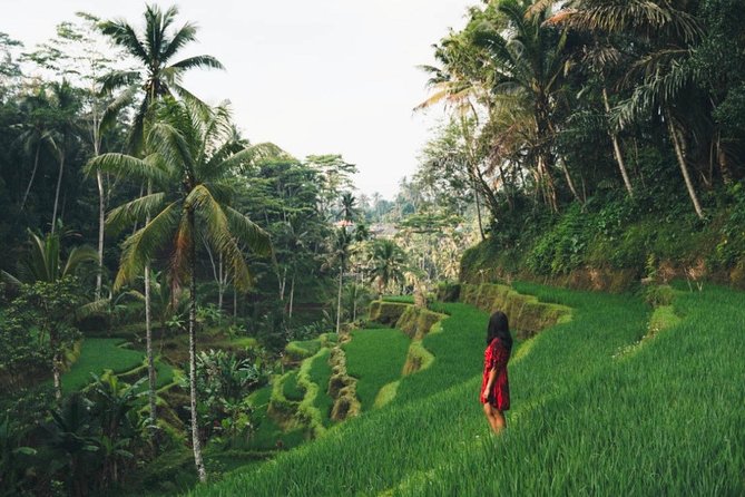 Bali Highlights : Nature, Waterfall, Rice Terraces and Volcano - Key Things I’d Highlight Before You Go