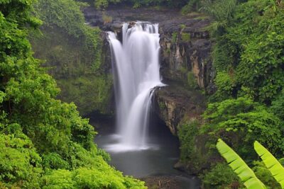 Bali Highlights Private Tour with Elephant Cave and Rice Field - Price and What You Really Get for $44.88