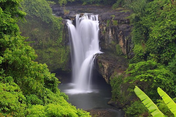 Bali Highlights Private Tour with Elephant Cave and Rice Field - Price and What You Really Get for $44.88