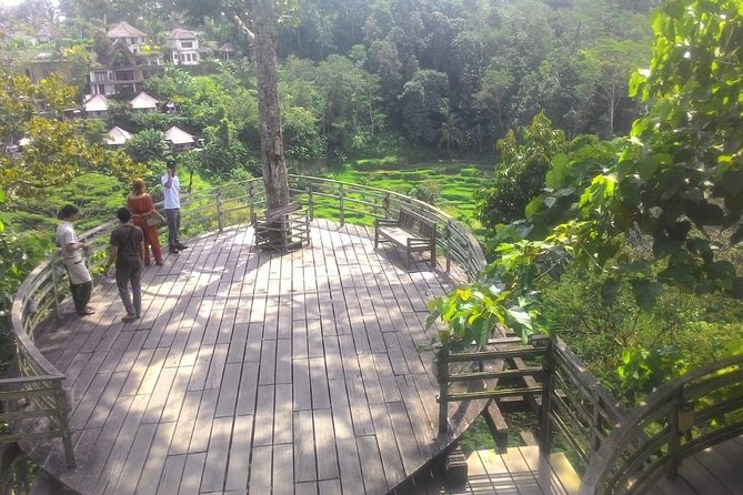 Bali Hindu temple, Rice terrace, Waterfall -All Inclusive - Stops 3 and 5: Tegalalang rice terraces (classic views, good photo timing)