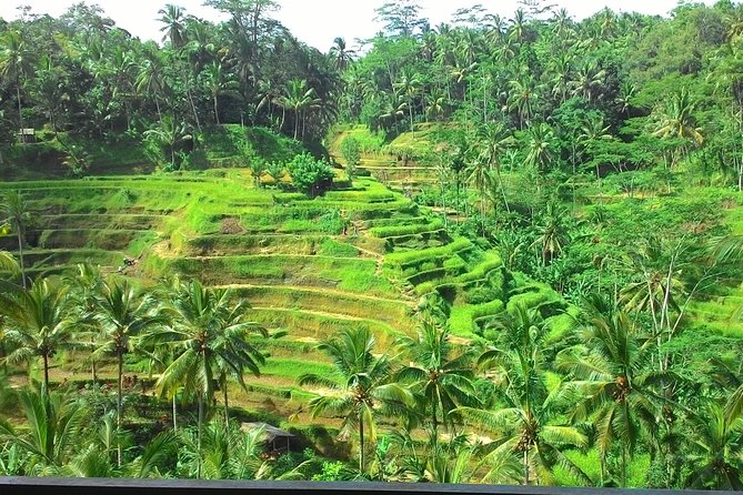 Bali Hindu temple, Rice terrace, Waterfall -All Inclusive - Stop 5 lunch: Indonesian menu with rice- or river-view seating
