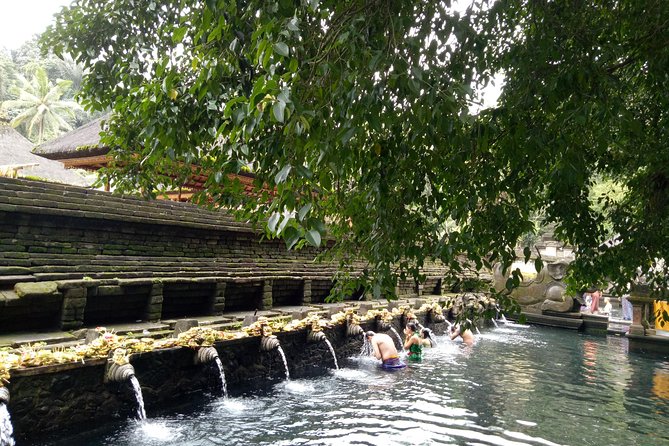 Bali Holy Bathing Ritual and Ubud Highlights tour - Tegalalang rice terraces: classic Bali views, timed to enjoy them