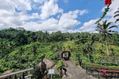 Bali Holy Bathing Ritual and Ubud Highlights tour - Sacred Monkey Forest in Ubud: a rainforest walk with 700+ monkeys