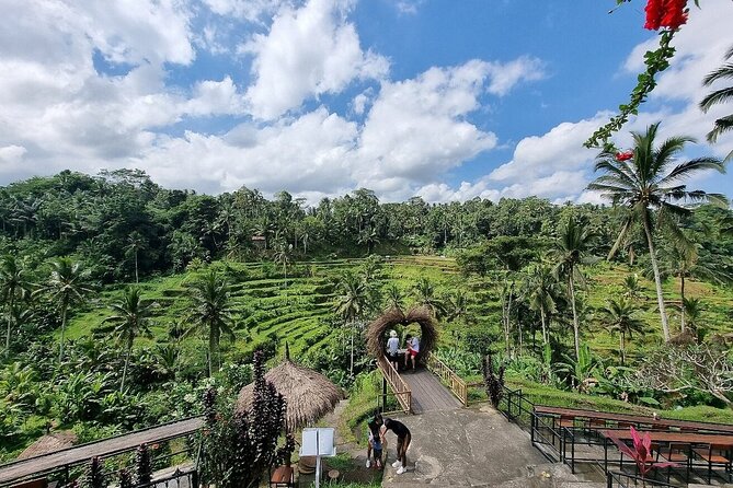 Bali Holy Bathing Ritual and Ubud Highlights tour - Sacred Monkey Forest in Ubud: a rainforest walk with 700+ monkeys