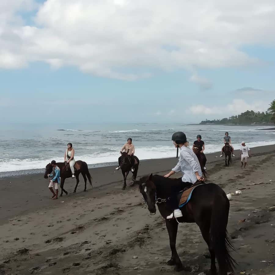 Bali Horse ride at Saba beach Horse tour - Who this Bali horse ride is best for
