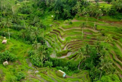 Bali Horse Riding Activity and Full-Day Trip in Ubud - Celuk Village: jewelry-making you can watch, not just shop