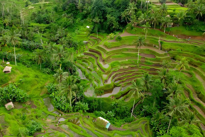 Bali Horse Riding Activity and Full-Day Trip in Ubud - Celuk Village: jewelry-making you can watch, not just shop