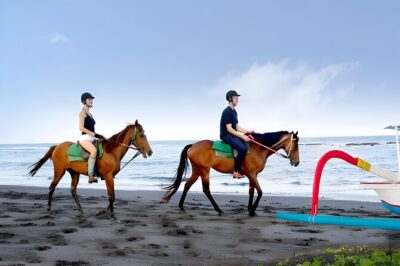 Bali Horse Riding and ATV Ride Packages : Best Quad Bike Trip - Bali Pertiwi Adventure: where lunch buys you a pause