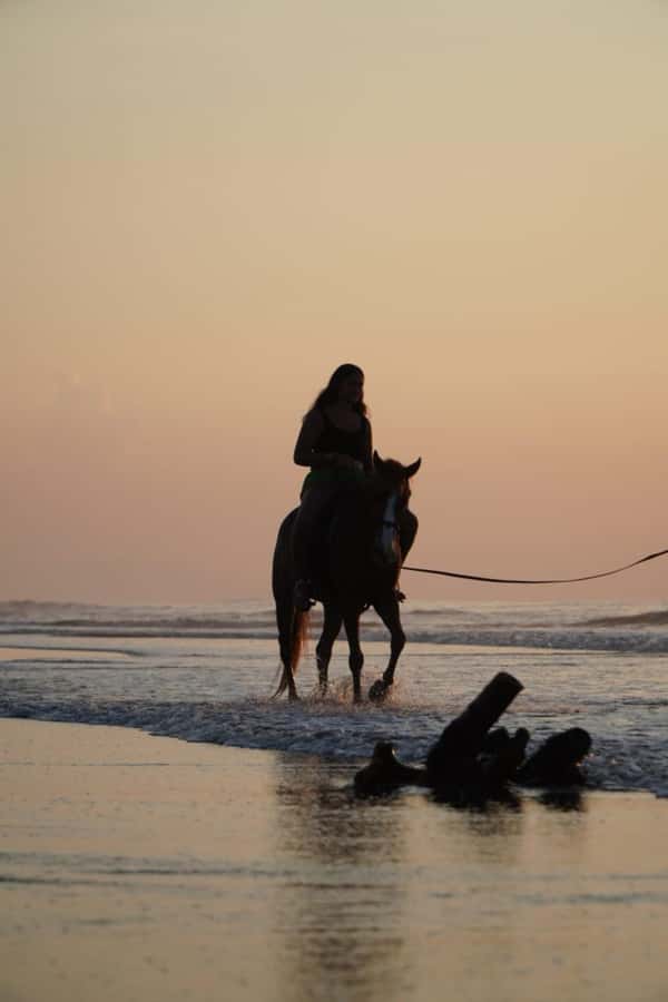 Bali: Horse Riding Beach Experience with Optional Transport - Black Sand Horse Ride Through Sanur to Tangtu Beach