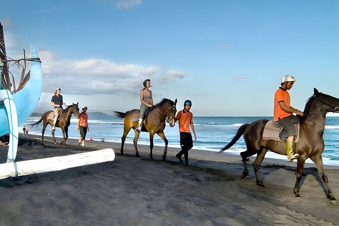 Bali Horse Riding in Saba Bay for 1 Hour with Pick Up Service - Why Saba Bay Horse Riding is a smart Bali choice