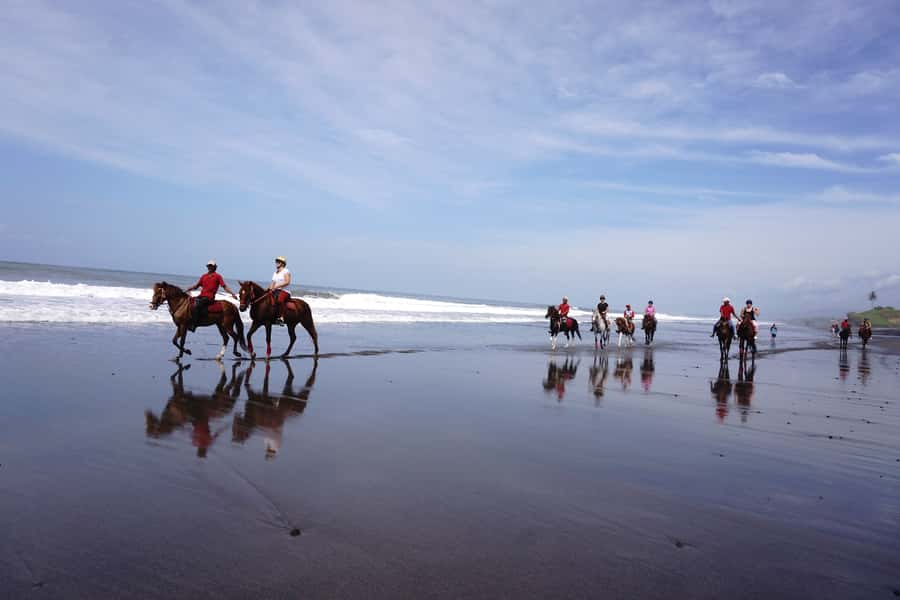 Bali: Horse Riding on Pigstone Beach and in the Rice Fields - Rice Fields to Pig Stone Beach: What a 90-Minute Horse Ride Brings You