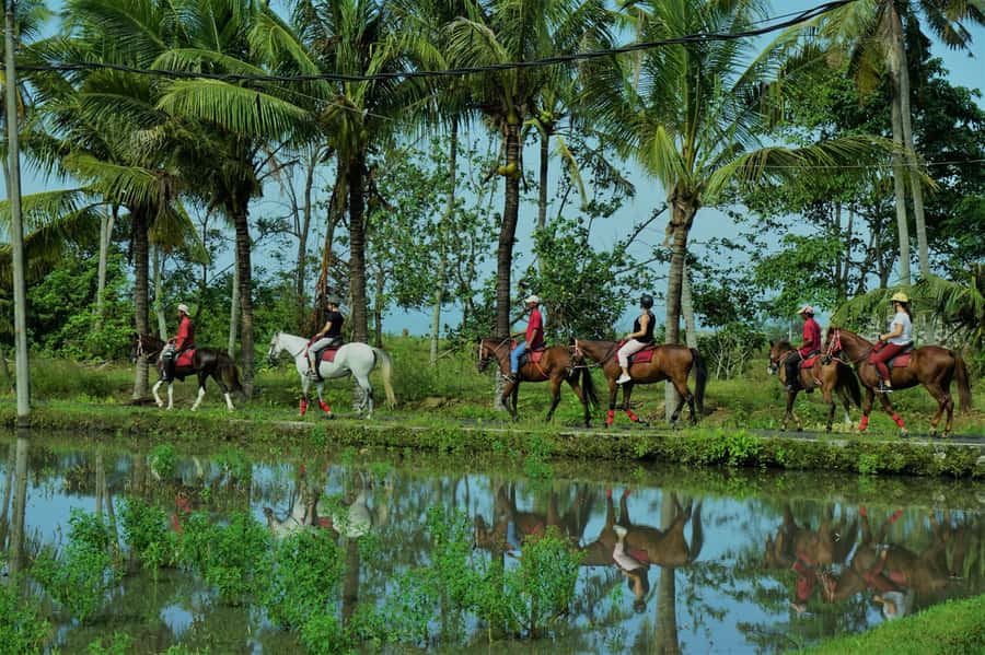 Bali: Horse Riding on Pigstone Beach and in the Rice Fields - From Kuda P Stables: How They Get You Ready Before You Ride
